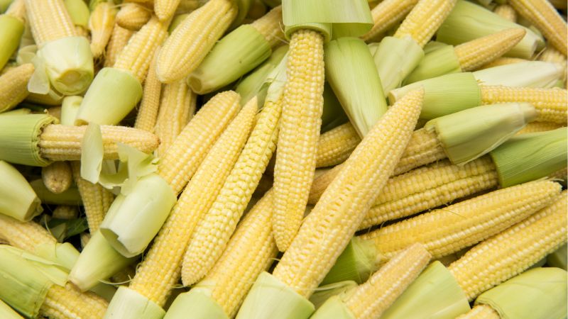 is baby sweetcorn ok for dogs