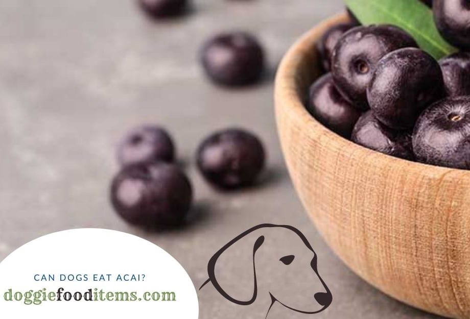 Can dogs eat acai?
