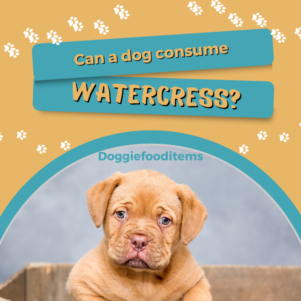 Can a dog consume watercress?