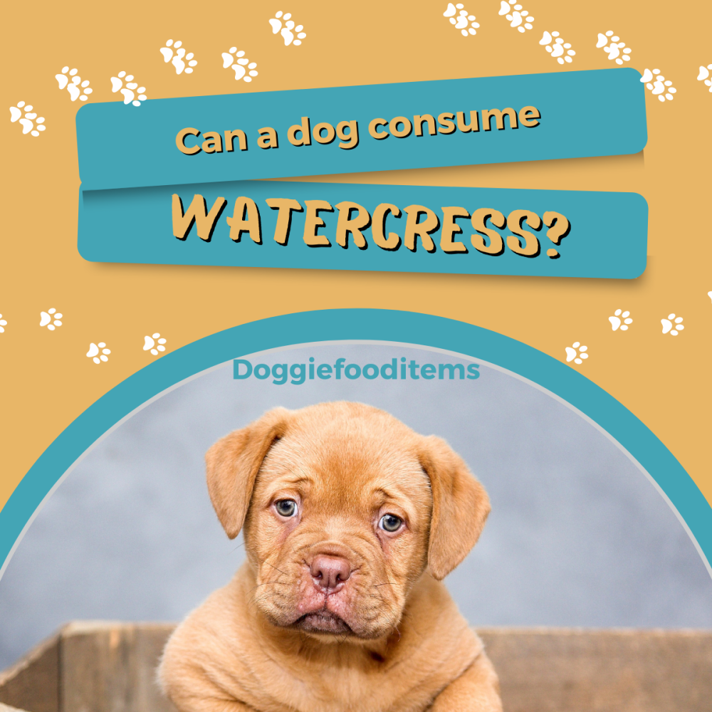 Can Dogs Eat Watercress?