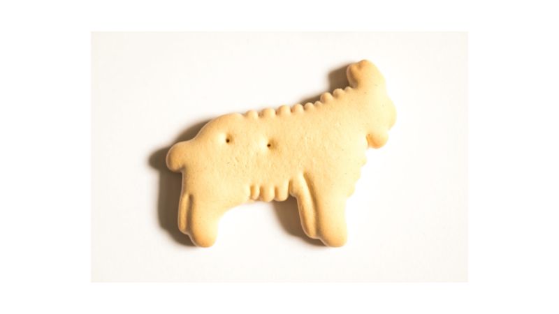 Can Dog Eat Animal Crackers