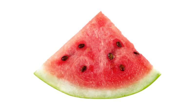 Can a dog eat the skin of a watermelon
