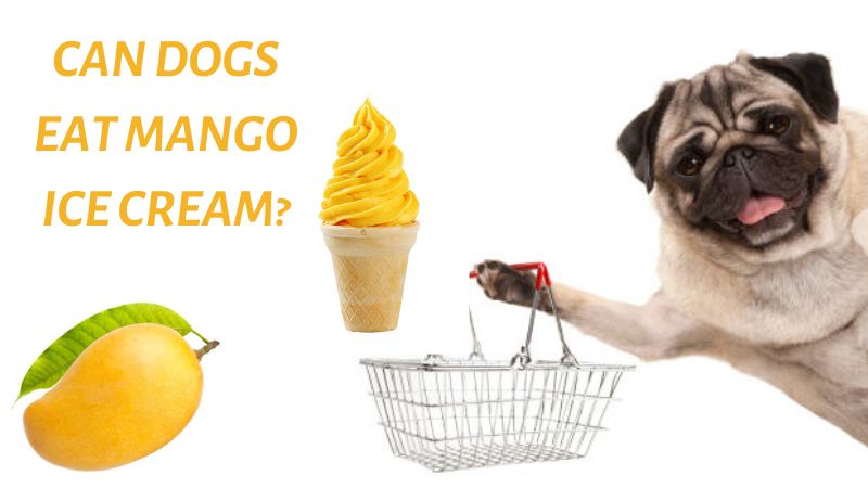Can Dogs Eat Mango Ice cream?