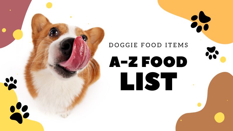 What Your Dogs can Eat? A-Z List