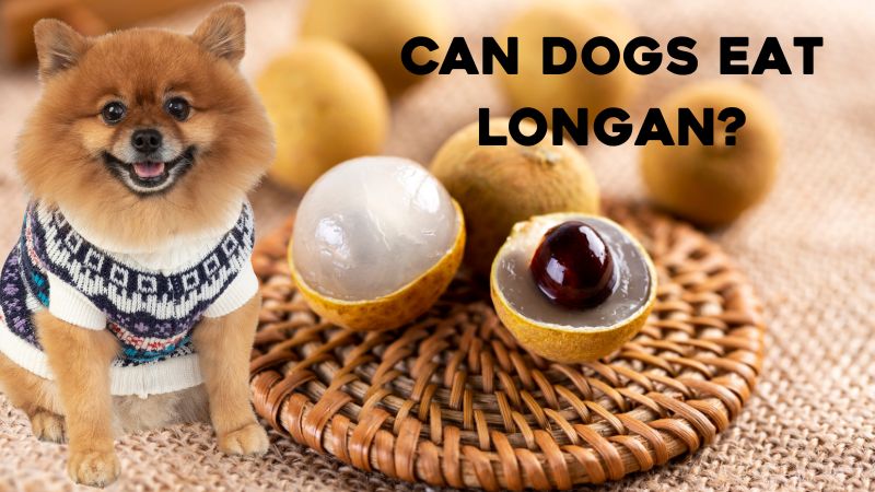 Can Dogs Eat Longan? Risks And Benifis.