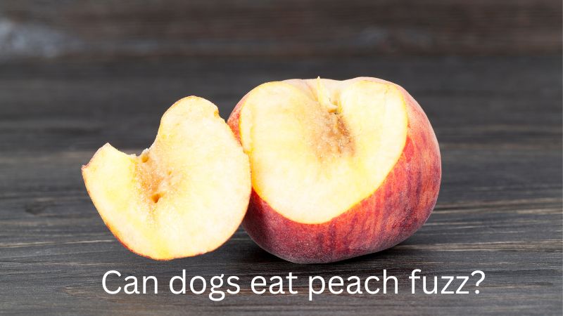 Can dogs eat peach fuzz