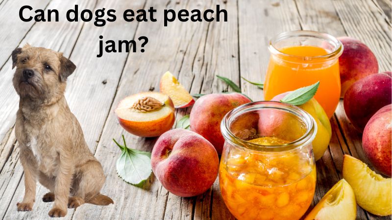 Can dogs eat peach jam