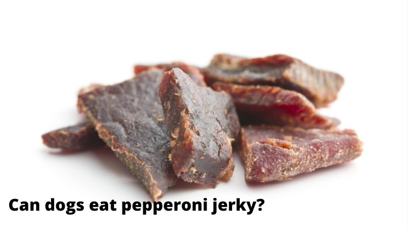 Can dogs eat pepperoni jerky