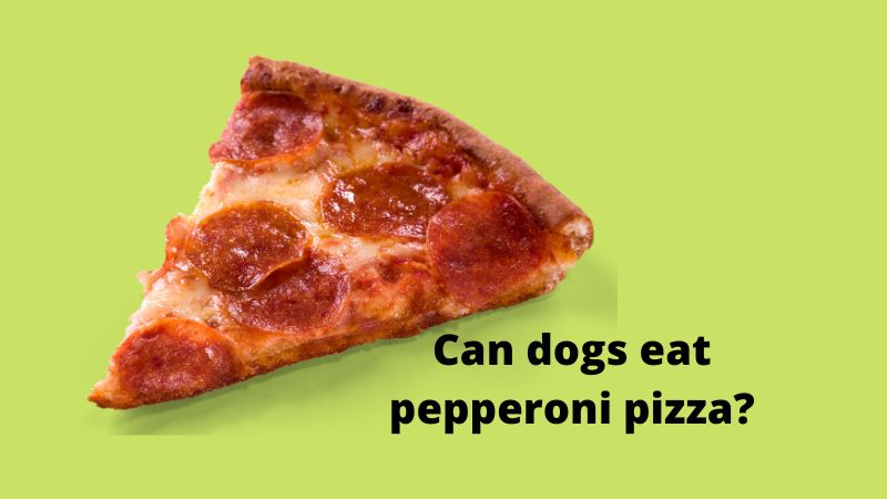 Can dogs eat pepperoni pizza