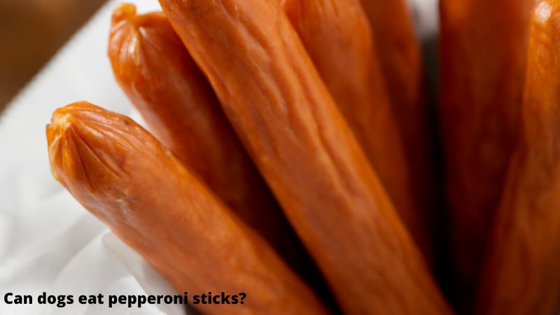 Can dogs eat pepperoni sticks