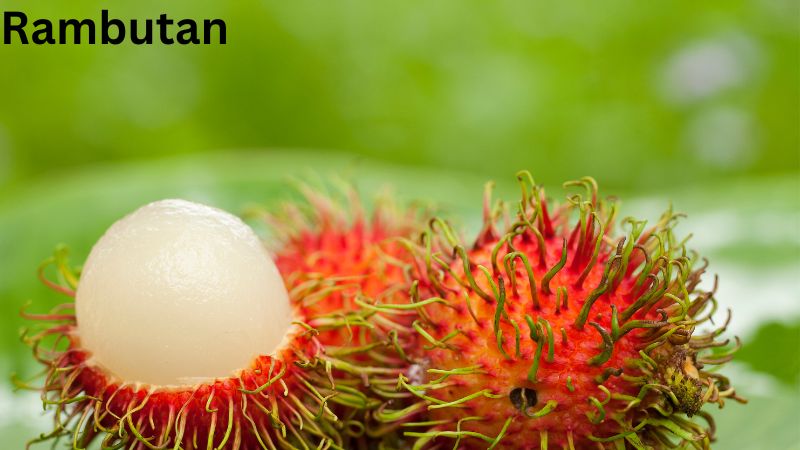 Rambutan