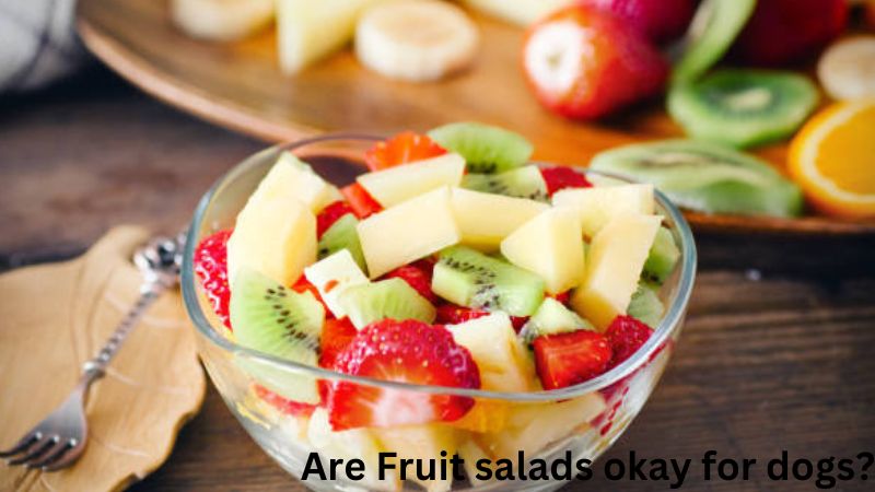 can dogs eat fruit salad