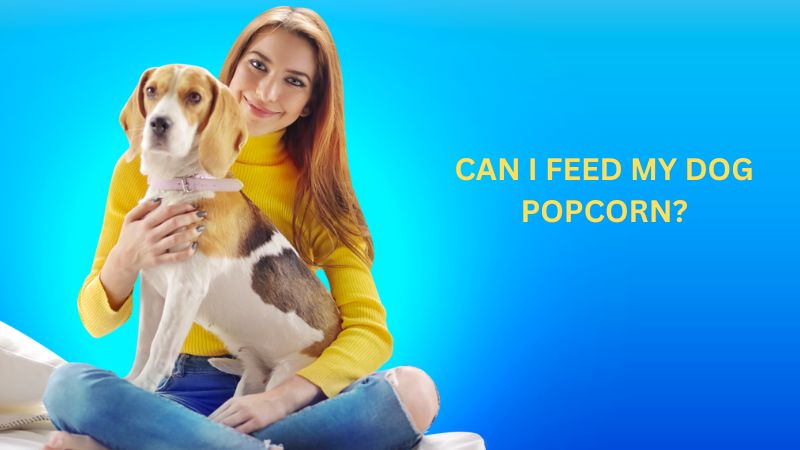 Can Dogs Eat Popcorns?Vet-Approved Facts & FAQ