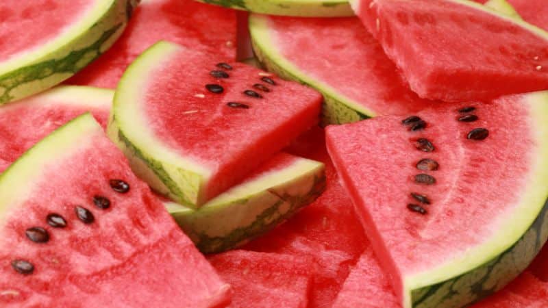 Can Dogs Eat Watermelon