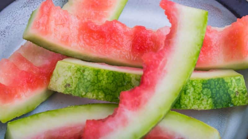 Can Dogs Eat Watermelon