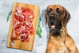 Can dogs eat prosciutto?
