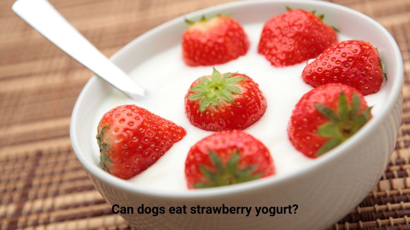 Can dogs eat strawberry yogurt-.