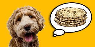 Can dogs eat tortilla?