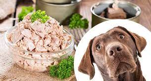 Can dogs eat tuna?