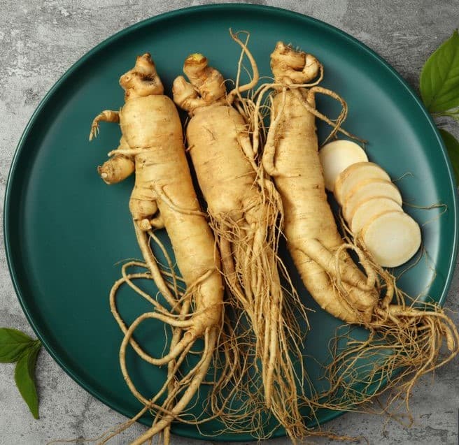 can dogs eat ginseng