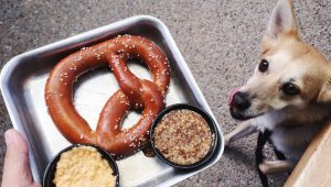 can dogs eat pretzels?