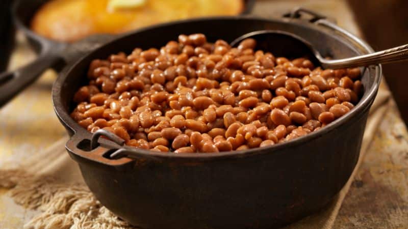 Can Dogs Eat Baked Beans