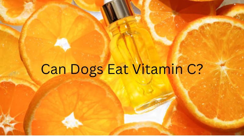 Can Dogs Eat Vitamin C,