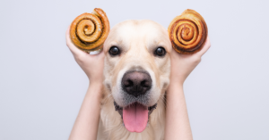 Can dogs eat cinnamon?