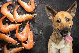 Can dogs eat clams?