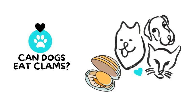 Can dogs eat clams?