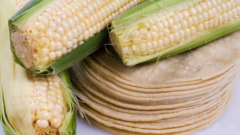 Can Dogs Eat Corn? 