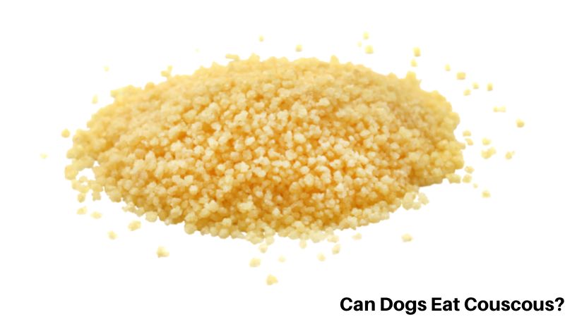 Can Dogs Eat Couscous