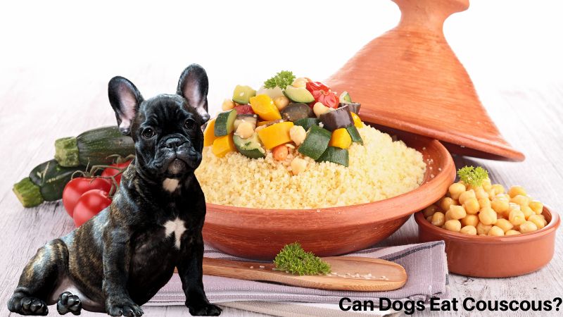 Can Dogs Eat Couscous