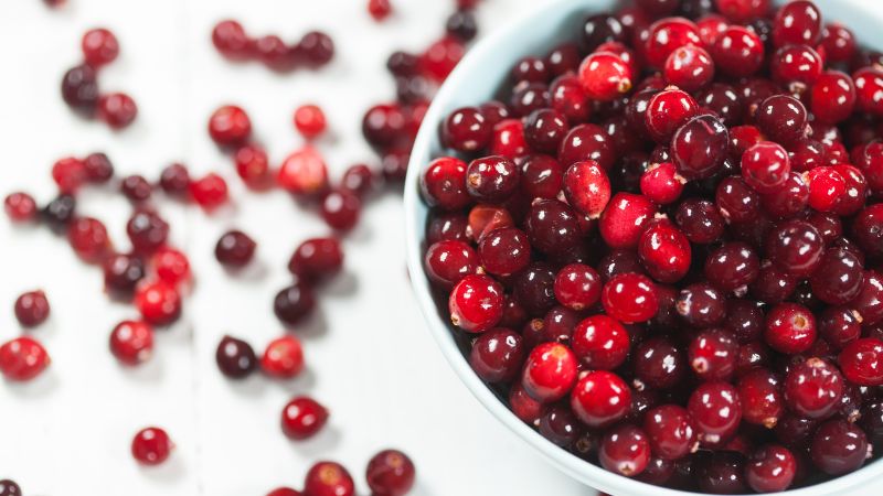 Can Dogs Eat Cranberries 