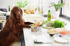 Can dogs eat collard greens?