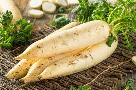 Can dogs eat daikon