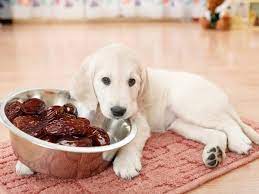 Can dogs eat dates?