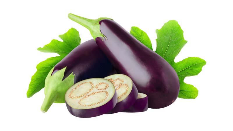 Can Dogs Eat Aubergine