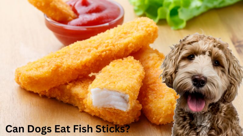 Can Dogs Eat Fish Sticks?
