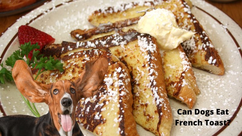 Can Dogs Eat French Toast?