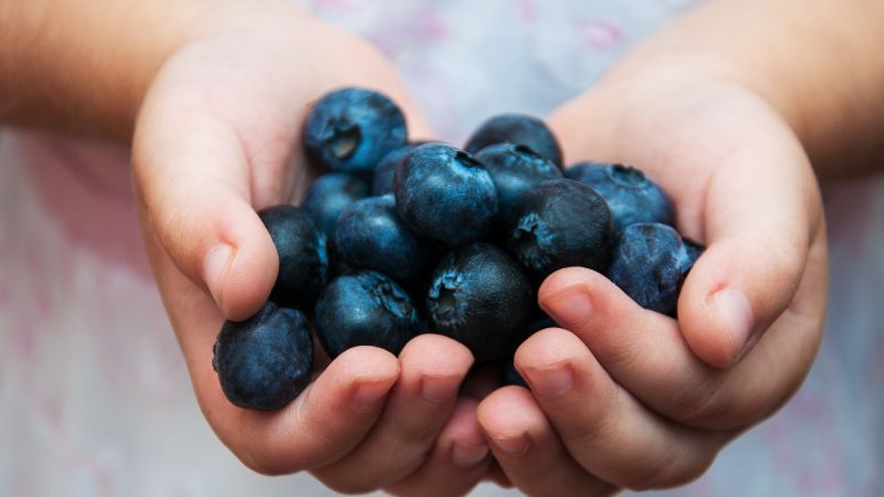 Can Dogs Eat Blueberries