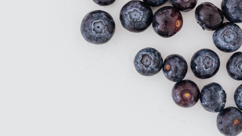 Can Dogs Eat Blueberries