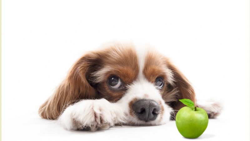 Can Dogs Eat Green Apples (