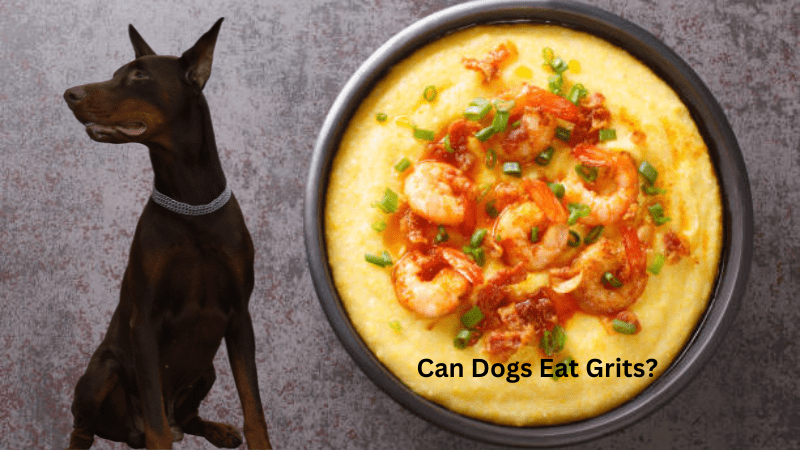 Can Dogs Eat Grits?