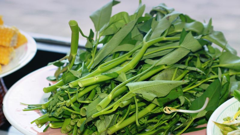 Can Dogs Eat Kangkong?