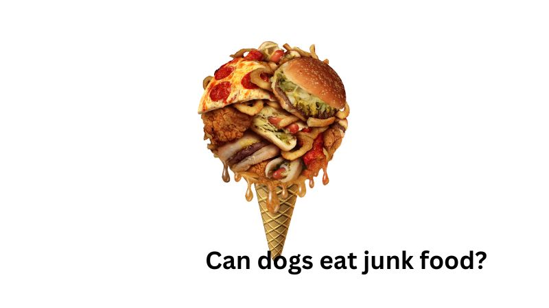 Can Dogs Eat Junk Food