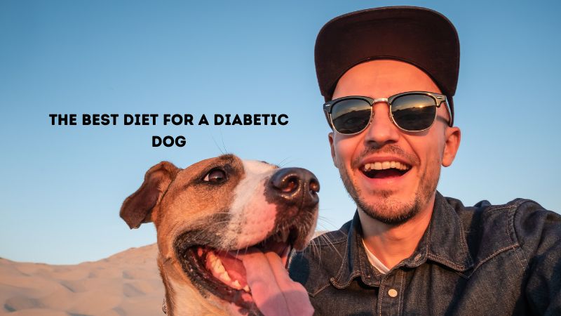 The Best Diet for a Diabetic Dog
