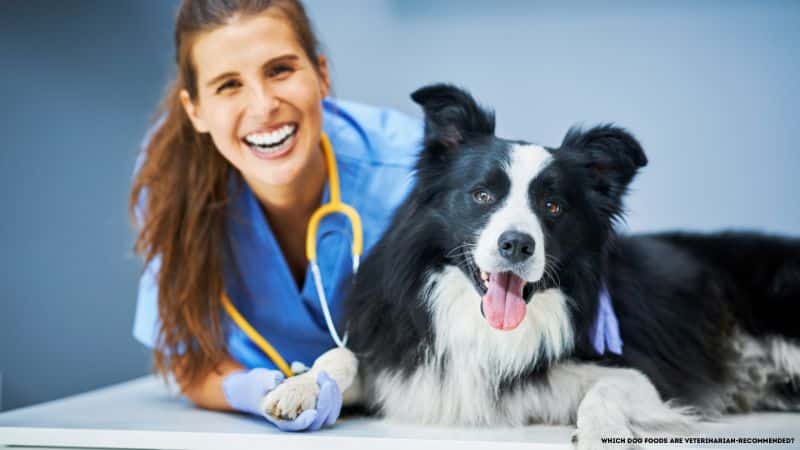 Which Dog Foods Are Veterinarian-Recommended ..