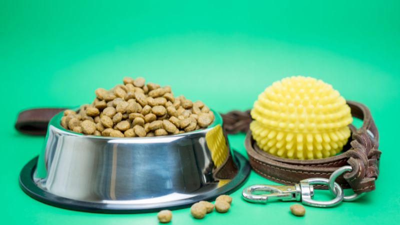 top dog food manufacturers