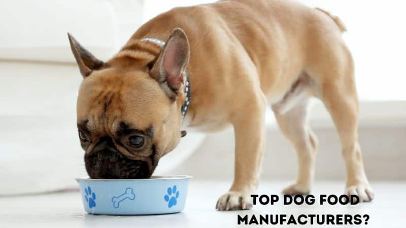 Top Dog Food Manufacturers?